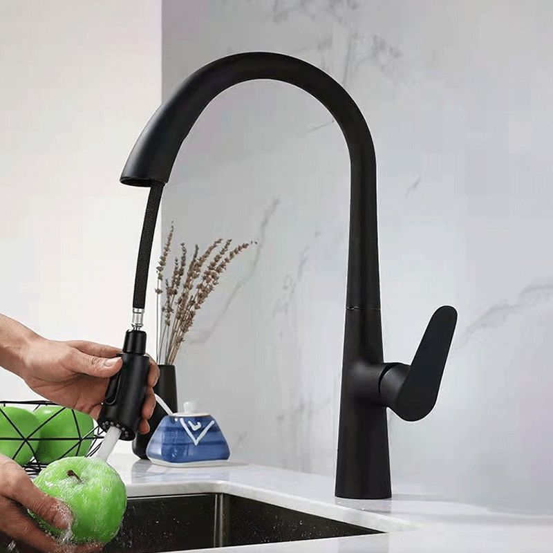 Modern 1-Handle Faucet Pull down Stainless Steel Standard Kitchen Faucet Clearhalo 'Home Improvement' 'home_improvement' 'home_improvement_kitchen_faucets' 'Kitchen Faucets' 'Kitchen Remodel & Kitchen Fixtures' 'Kitchen Sinks & Faucet Components' 'kitchen_faucets' 1200x1200_2df73765-0000-4383-886f-725e270f712b