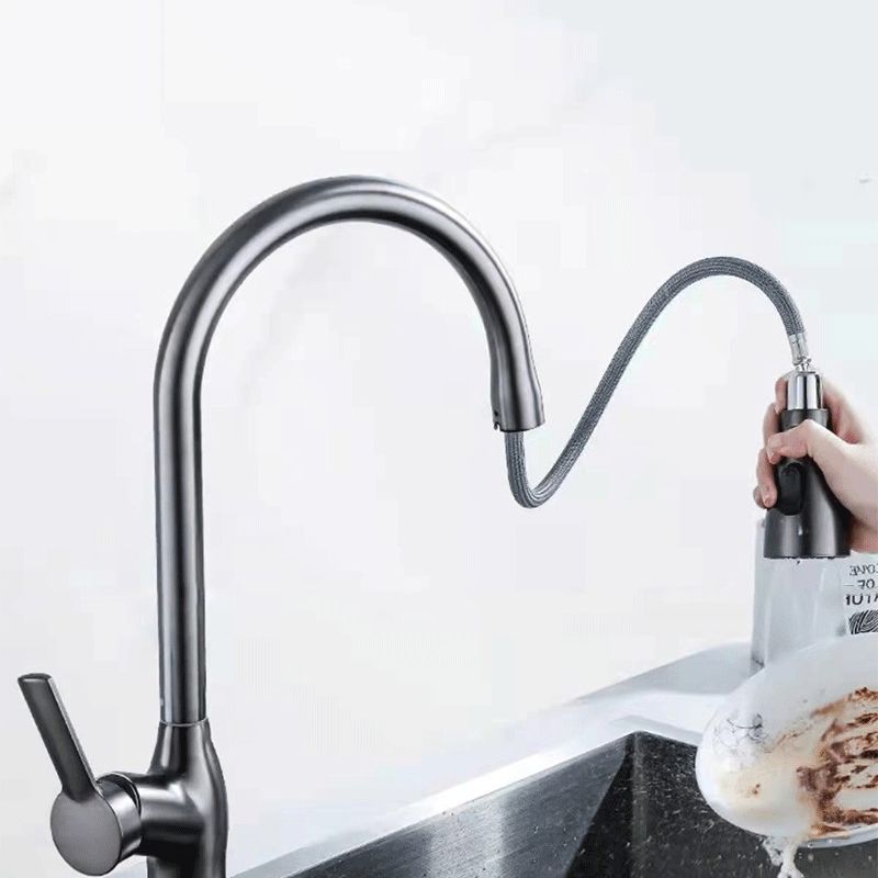 1-Hole 1-Handle Faucet Pull out Sprayer Standard Kitchen Faucet Clearhalo 'Home Improvement' 'home_improvement' 'home_improvement_kitchen_faucets' 'Kitchen Faucets' 'Kitchen Remodel & Kitchen Fixtures' 'Kitchen Sinks & Faucet Components' 'kitchen_faucets' 1200x1200_2e4f2978-fc22-4ef5-9550-00edfbbb2979