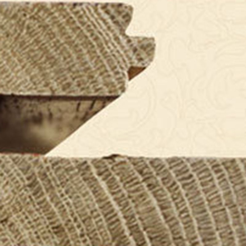 Modern Hardwood Flooring Wooden Composite Waterproof Flooring Clearhalo 'Flooring 'Hardwood Flooring' 'hardwood_flooring' 'Home Improvement' 'home_improvement' 'home_improvement_hardwood_flooring' Walls and Ceiling' 1200x1200_2eb5a6d0-fc51-4bc0-8aac-6c3fc31bc697