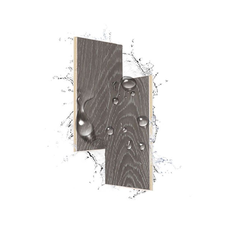 Modern Pine Laminate Flooring Click-Lock Waterproof Laminate Plank Flooring Clearhalo 'Flooring 'Home Improvement' 'home_improvement' 'home_improvement_laminate_flooring' 'Laminate Flooring' 'laminate_flooring' Walls and Ceiling' 1200x1200_2f496eaa-0e7b-4b49-9f68-cc4c95ea4581