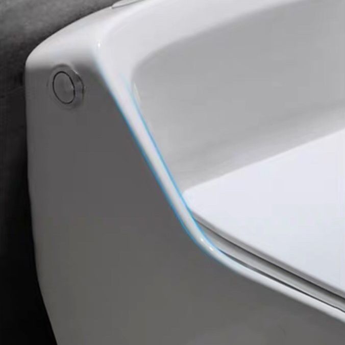 Modern Siphon Jet Toilet Bowl Floor Mount Flush Toilet with Toilet Seat Clearhalo 'Bathroom Remodel & Bathroom Fixtures' 'Home Improvement' 'home_improvement' 'home_improvement_toilets' 'Toilets & Bidets' 'Toilets' 1200x1200_2f5311b3-5b2e-4872-abff-5a1a59f6bc10