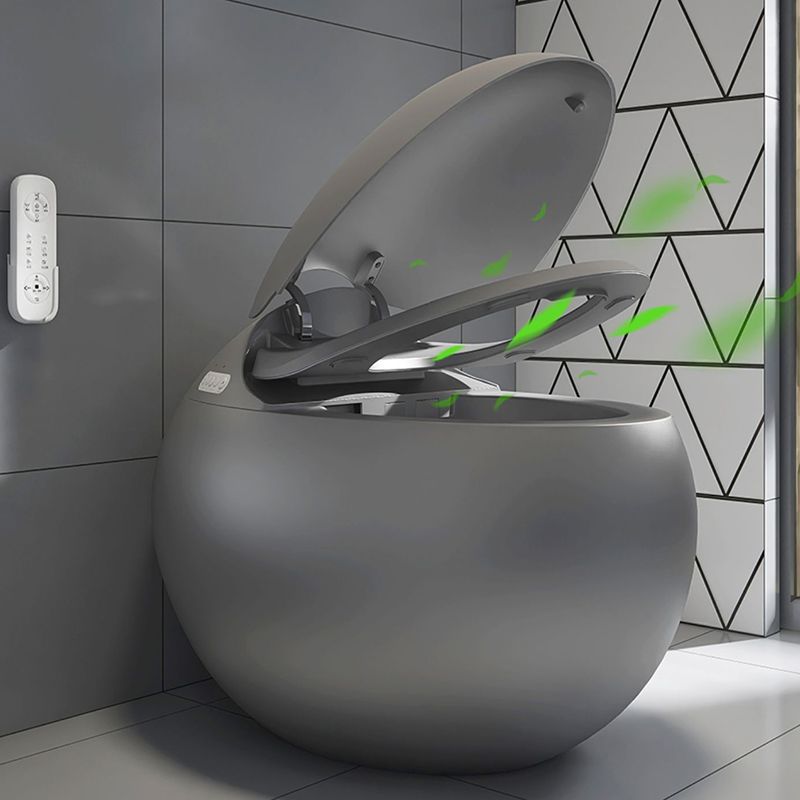 Gray Plastic Floor Standing Bidet Contemporary Floor Mount Bidet Clearhalo 'Bathroom Remodel & Bathroom Fixtures' 'Bidets' 'Home Improvement' 'home_improvement' 'home_improvement_bidets' 'Toilets & Bidets' 1200x1200_2f8628e6-30a2-4c96-a340-3f64c5456552