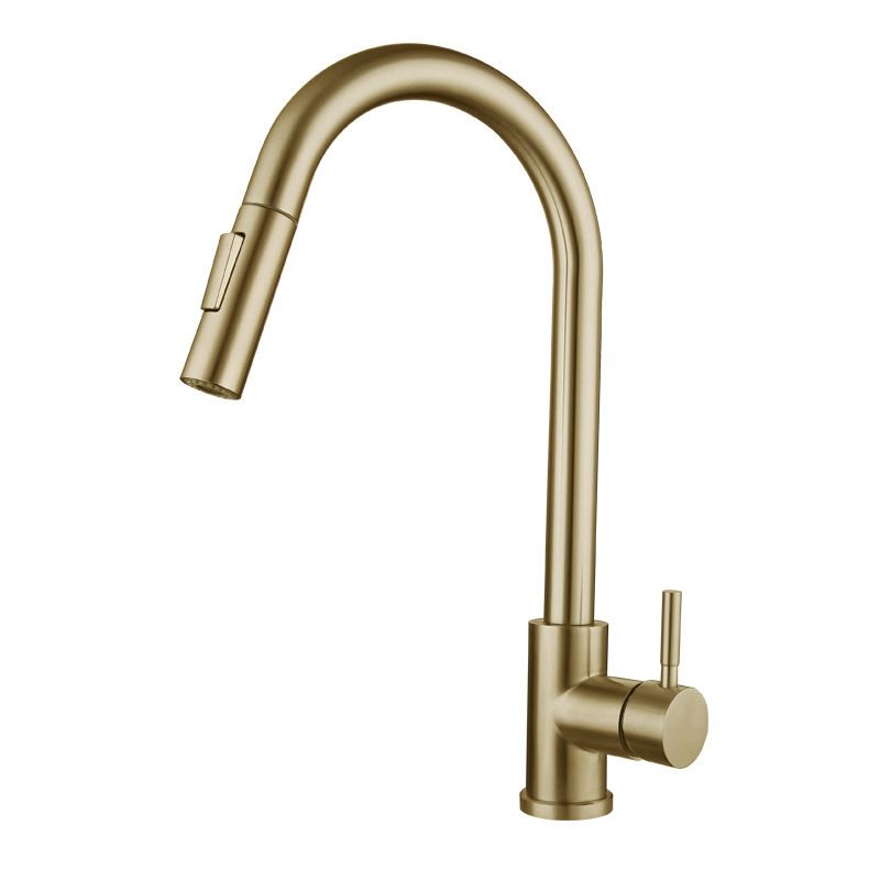 Traditional Pull down Kitchen Faucet Single Handle Faucet with Pull out Sprayer Clearhalo 'Home Improvement' 'home_improvement' 'home_improvement_kitchen_faucets' 'Kitchen Faucets' 'Kitchen Remodel & Kitchen Fixtures' 'Kitchen Sinks & Faucet Components' 'kitchen_faucets' 1200x1200_2fa89779-6c71-4676-ba08-7c4201a56d01