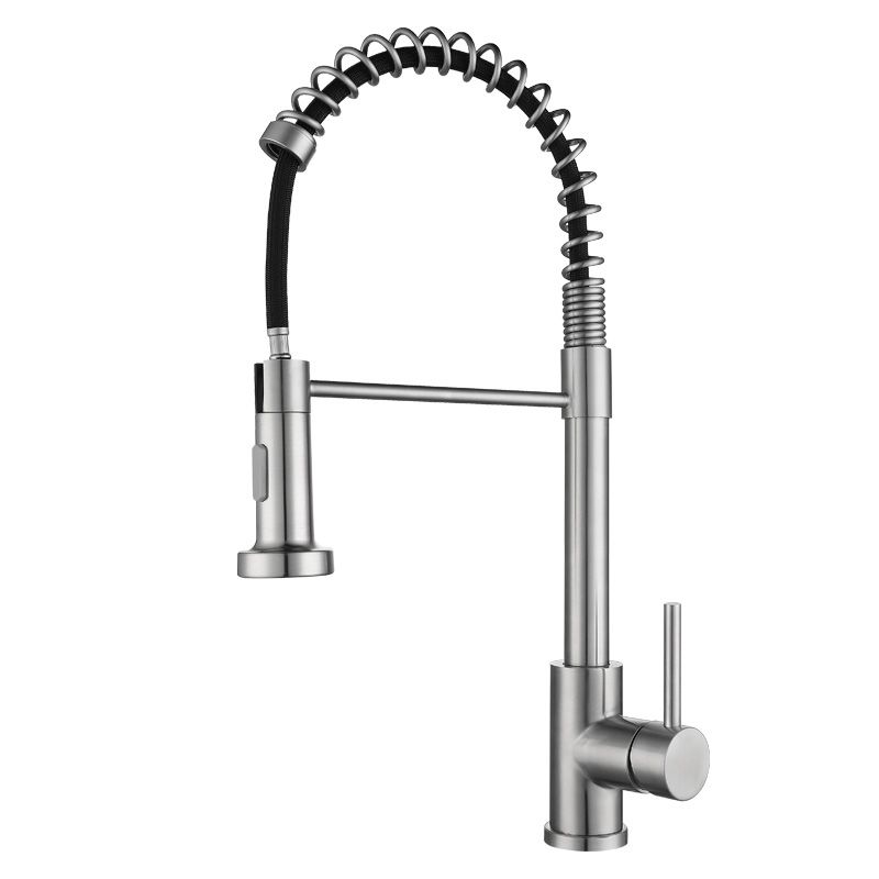Modern Spring Spout Faucets 1-Handle 1-Hole with Water Dispenser Standard Kitchen Faucets Clearhalo 'Home Improvement' 'home_improvement' 'home_improvement_kitchen_faucets' 'Kitchen Faucets' 'Kitchen Remodel & Kitchen Fixtures' 'Kitchen Sinks & Faucet Components' 'kitchen_faucets' 1200x1200_303f7928-a011-49cf-af68-3214460beddb
