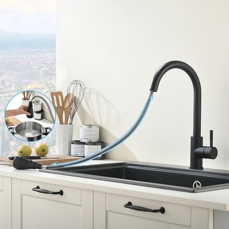 Modern Kitchen Faucet Stainless Steel Single Handle High Arc Retractable Kitchen Faucet Clearhalo 'Home Improvement' 'home_improvement' 'home_improvement_kitchen_faucets' 'Kitchen Faucets' 'Kitchen Remodel & Kitchen Fixtures' 'Kitchen Sinks & Faucet Components' 'kitchen_faucets' 1200x1200_30ed01ca-7248-44c3-b7be-5dbb8f90202e