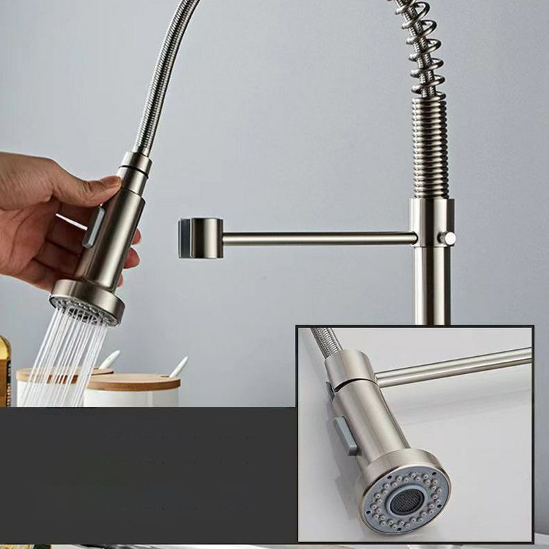 Modern 1-Handle Faucet Spring Spout with Water Dispenser Standard Kitchen Faucet Clearhalo 'Home Improvement' 'home_improvement' 'home_improvement_kitchen_faucets' 'Kitchen Faucets' 'Kitchen Remodel & Kitchen Fixtures' 'Kitchen Sinks & Faucet Components' 'kitchen_faucets' 1200x1200_327f2933-e78f-457d-b41e-0d63b02f316e