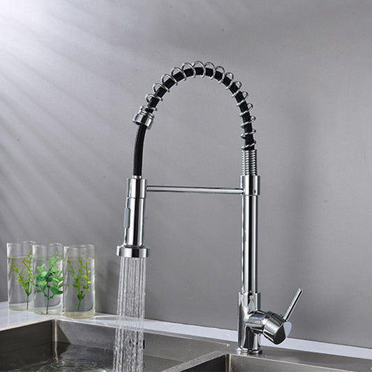 Modern Spring Spout Faucets 1-Handle with Water Dispenser Standard Kitchen Faucets Clearhalo 'Home Improvement' 'home_improvement' 'home_improvement_kitchen_faucets' 'Kitchen Faucets' 'Kitchen Remodel & Kitchen Fixtures' 'Kitchen Sinks & Faucet Components' 'kitchen_faucets' 1200x1200_328cfd09-a688-4d26-a7e1-49a012eacb0b