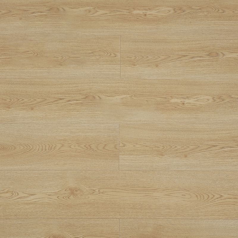 Modern Laminate Flooring Indoor Wood Textured Living Room Laminate Floor Clearhalo 'Flooring 'Home Improvement' 'home_improvement' 'home_improvement_laminate_flooring' 'Laminate Flooring' 'laminate_flooring' Walls and Ceiling' 1200x1200_330f171d-696d-4d7f-b3cb-5e5ff567cf7b