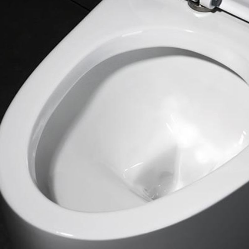 Modern Seat Included Flush Toilet One Piece Urine Toilet for Bathroom Clearhalo 'Bathroom Remodel & Bathroom Fixtures' 'Home Improvement' 'home_improvement' 'home_improvement_toilets' 'Toilets & Bidets' 'Toilets' 1200x1200_33fcdc7f-b81e-4a09-927f-710bd9eafae7