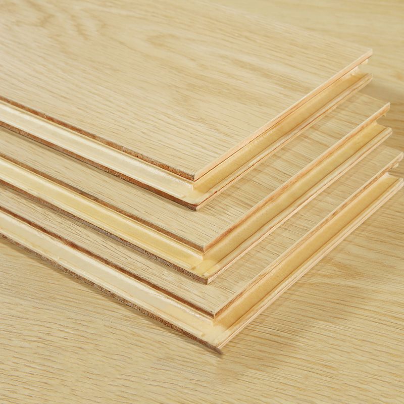 Solid Wood Laminate Floor Water-resistant and Scratch Resistant Laminate for Home Clearhalo 'Flooring 'Home Improvement' 'home_improvement' 'home_improvement_laminate_flooring' 'Laminate Flooring' 'laminate_flooring' Walls and Ceiling' 1200x1200_3413d940-4c28-4ccc-9ff3-c03e60d729f6