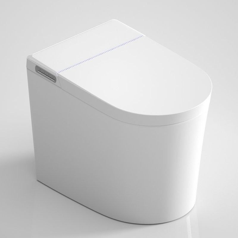 Elongated Bowl Shape Floor Standing Bidet with Heated Seat in White Clearhalo 'Bathroom Remodel & Bathroom Fixtures' 'Bidets' 'Home Improvement' 'home_improvement' 'home_improvement_bidets' 'Toilets & Bidets' 1200x1200_352af04a-1c20-4254-9707-d974166e81e2