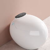 Modern Siphon Jet Toilet Floor Mounted Toilet Bowl All In One Flush Toilet Clearhalo 'Bathroom Remodel & Bathroom Fixtures' 'Home Improvement' 'home_improvement' 'home_improvement_toilets' 'Toilets & Bidets' 'Toilets' 1200x1200_35a2c7e5-1fa2-47d4-bc21-d0a9e1f648a0