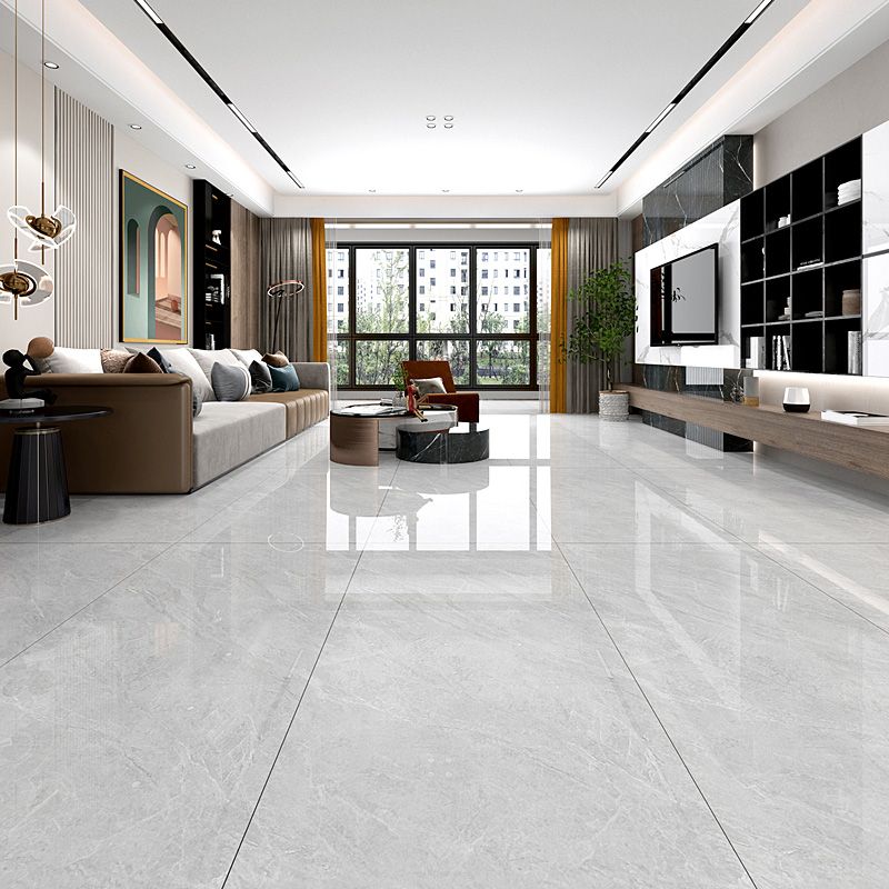 Rectangle Matte Singular Tile Marble Light Gray Tile for Home Decor Clearhalo 'Floor Tiles & Wall Tiles' 'floor_tiles_wall_tiles' 'Flooring 'Home Improvement' 'home_improvement' 'home_improvement_floor_tiles_wall_tiles' Walls and Ceiling' 1200x1200_376ee135-acb9-4e5b-bf30-868f512b2794