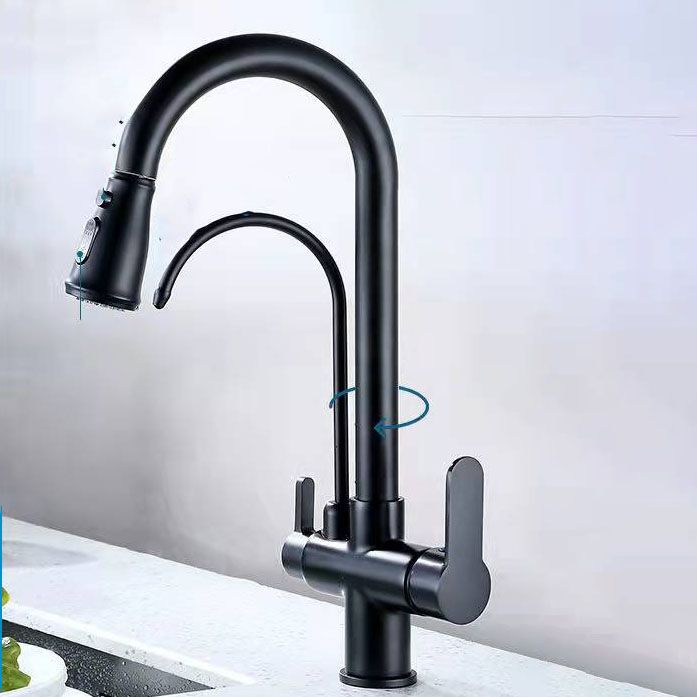 Contemporary Pull down Kitchen Faucet Double Handle High Arch 2-Function Water Filler Clearhalo 'Home Improvement' 'home_improvement' 'home_improvement_kitchen_faucets' 'Kitchen Faucets' 'Kitchen Remodel & Kitchen Fixtures' 'Kitchen Sinks & Faucet Components' 'kitchen_faucets' 1200x1200_379e3ead-cad2-4bb3-9d79-39a651afddb4