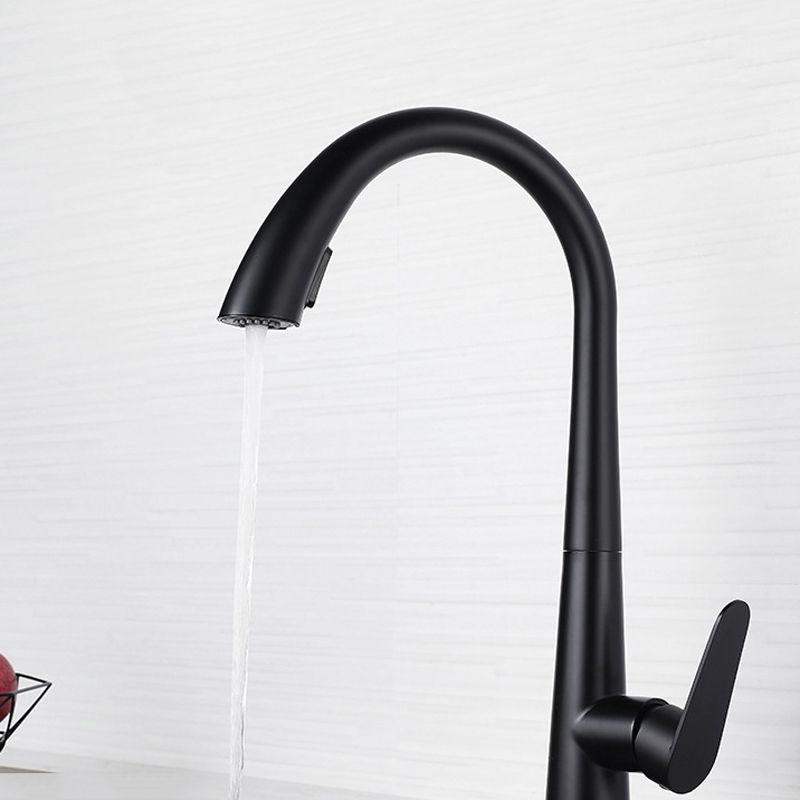 Modern Style Kitchen Faucet 304 Stainless Steel Single Handle Gooseneck Kitchen Faucet Clearhalo 'Home Improvement' 'home_improvement' 'home_improvement_kitchen_faucets' 'Kitchen Faucets' 'Kitchen Remodel & Kitchen Fixtures' 'Kitchen Sinks & Faucet Components' 'kitchen_faucets' 1200x1200_37be9753-92f7-45ae-be24-6a9d33beca6b