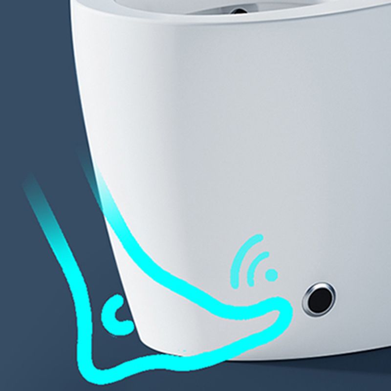 Heated Smart Floor Standing Bidet Toilet Seat in Black and White of 16.7" W Clearhalo 'Bathroom Remodel & Bathroom Fixtures' 'Bidets' 'Home Improvement' 'home_improvement' 'home_improvement_bidets' 'Toilets & Bidets' 1200x1200_384ed96b-5829-43e4-82c2-62f1b859ed7e