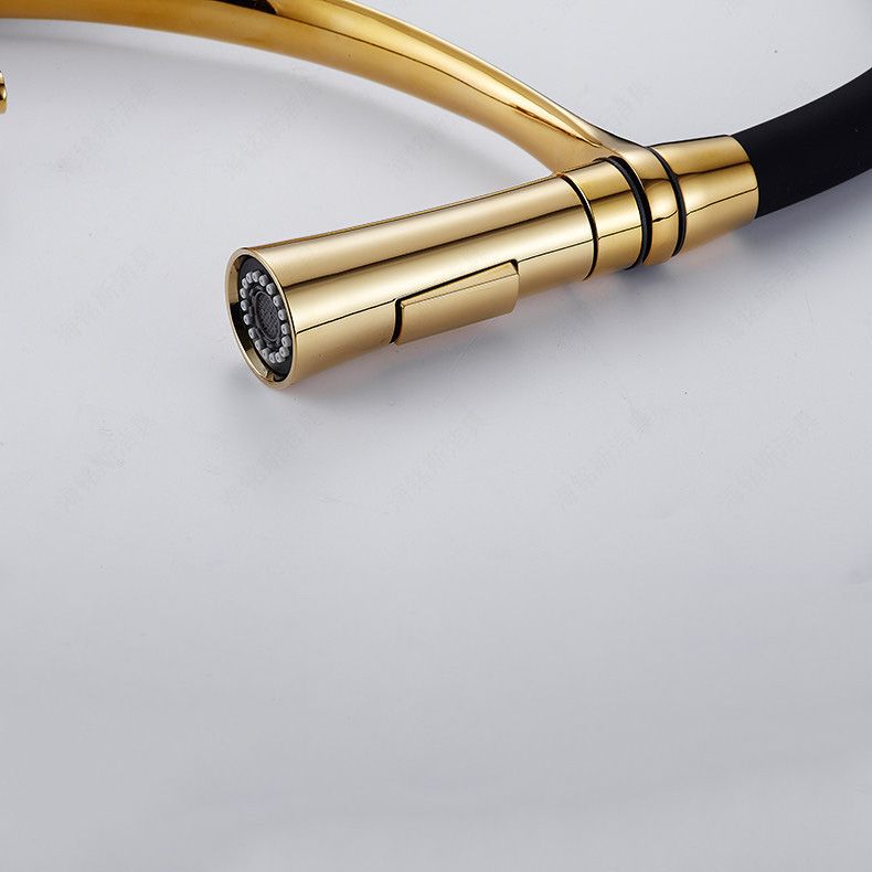 1-Hole Kitchen Faucet Metal Single Handle Kitchen Faucet with Pull Out Sprayer Clearhalo 'Home Improvement' 'home_improvement' 'home_improvement_kitchen_faucets' 'Kitchen Faucets' 'Kitchen Remodel & Kitchen Fixtures' 'Kitchen Sinks & Faucet Components' 'kitchen_faucets' 1200x1200_3887e457-1429-410d-a5f8-c725e857014a