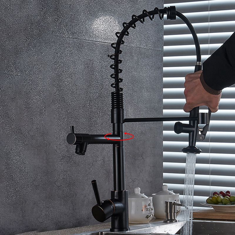 Modern Farmhouse Spring Spout Kitchen Sink Faucet Gooseneck with Pull Down Sprayer Clearhalo 'Home Improvement' 'home_improvement' 'home_improvement_kitchen_faucets' 'Kitchen Faucets' 'Kitchen Remodel & Kitchen Fixtures' 'Kitchen Sinks & Faucet Components' 'kitchen_faucets' 1200x1200_3980e79c-1fb9-457c-af3b-2fcb8d667b74