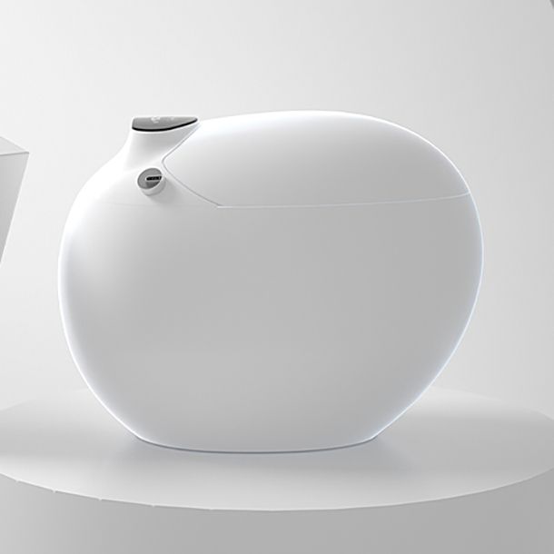 Round Floor Mount Bidet with Unlimited Warm Water Vitreous China Bidets Clearhalo 'Bathroom Remodel & Bathroom Fixtures' 'Bidets' 'Home Improvement' 'home_improvement' 'home_improvement_bidets' 'Toilets & Bidets' 1200x1200_39e671e9-396a-4e86-9606-6b98ad5bbbf8