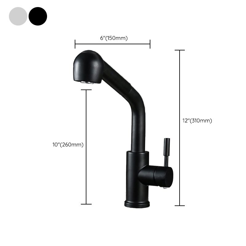 Pull Down Spout Kitchen Faucet One Handle Kitchen Sink Faucet with Pull Down Sprayer Clearhalo 'Home Improvement' 'home_improvement' 'home_improvement_kitchen_faucets' 'Kitchen Faucets' 'Kitchen Remodel & Kitchen Fixtures' 'Kitchen Sinks & Faucet Components' 'kitchen_faucets' 1200x1200_3a8583ae-0fcc-4043-a635-ad5c4b406091