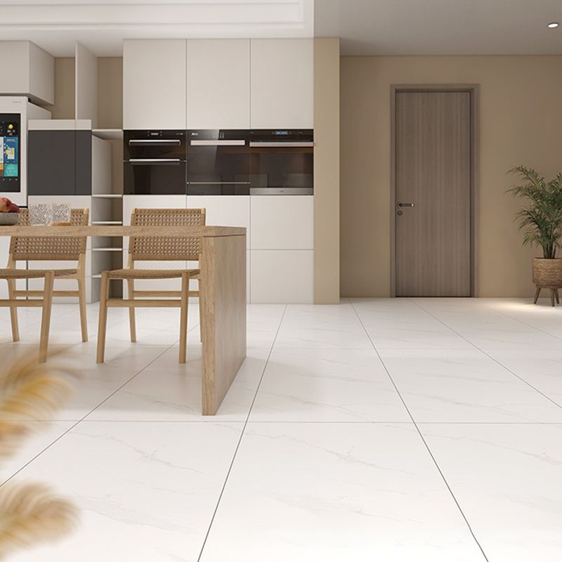 Floor & Wall Tile Polished Rectangle Ceramic Floor Tile for Living Room Clearhalo 'Floor Tiles & Wall Tiles' 'floor_tiles_wall_tiles' 'Flooring 'Home Improvement' 'home_improvement' 'home_improvement_floor_tiles_wall_tiles' Walls and Ceiling' 1200x1200_3a97910d-a8ed-46a7-a690-81fdc1cdbba4