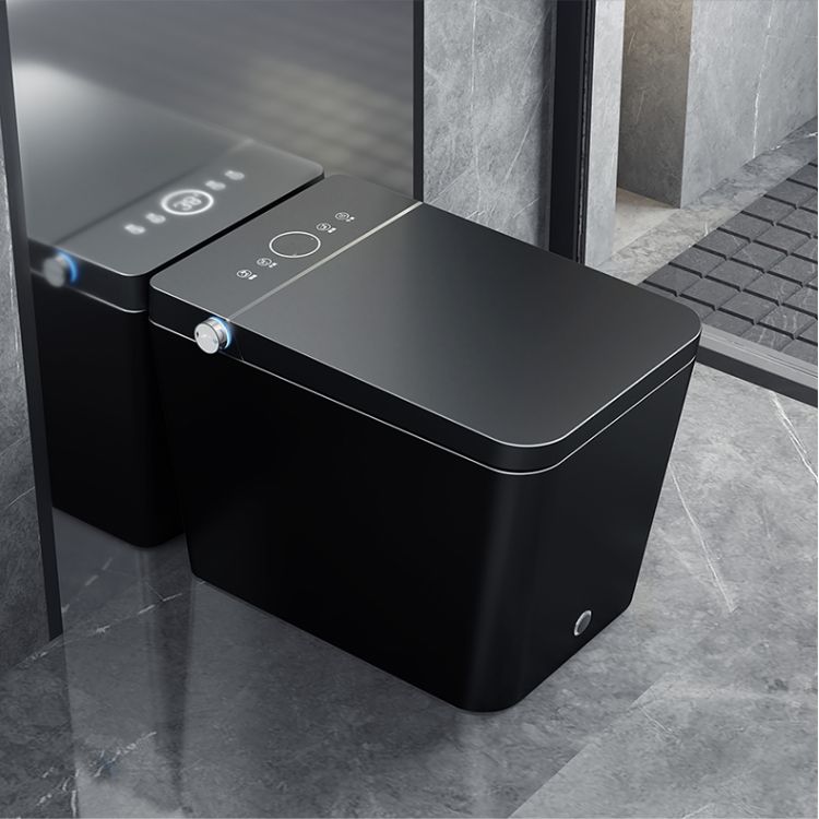 Contemporary Elongated Ceramic Heated Seat Temperature Control Floor Mount Bidet Clearhalo 'Bathroom Remodel & Bathroom Fixtures' 'Bidets' 'Home Improvement' 'home_improvement' 'home_improvement_bidets' 'Toilets & Bidets' 1200x1200_3afe4b7f-ff47-4354-8811-10fd95d47c17