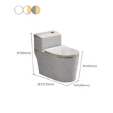 Traditional All-In-One Toilet Bowl Siphon Jet Toilet with Soft-Close Seat for Bathroom Clearhalo 'Bathroom Remodel & Bathroom Fixtures' 'Home Improvement' 'home_improvement' 'home_improvement_toilets' 'Toilets & Bidets' 'Toilets' 1200x1200_3b100a3c-27e7-47b3-bc16-c6202829e254