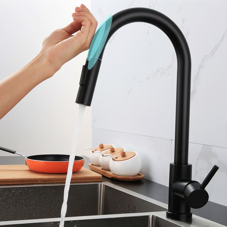 Modern Farmhouse Pull Down Water Filler One Handle High Arch Kitchen Faucet Clearhalo 'Home Improvement' 'home_improvement' 'home_improvement_kitchen_faucets' 'Kitchen Faucets' 'Kitchen Remodel & Kitchen Fixtures' 'Kitchen Sinks & Faucet Components' 'kitchen_faucets' 1200x1200_3b47a087-b3e9-4396-855e-3dd5ad9bd0f5