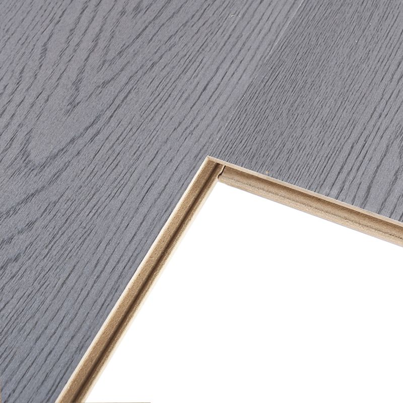 Modern Style Indoor Laminate Floor Wooden Waterproof Laminate Flooring Clearhalo 'Flooring 'Home Improvement' 'home_improvement' 'home_improvement_laminate_flooring' 'Laminate Flooring' 'laminate_flooring' Walls and Ceiling' 1200x1200_3c08faec-4901-4fa9-9608-90b0d19385f1