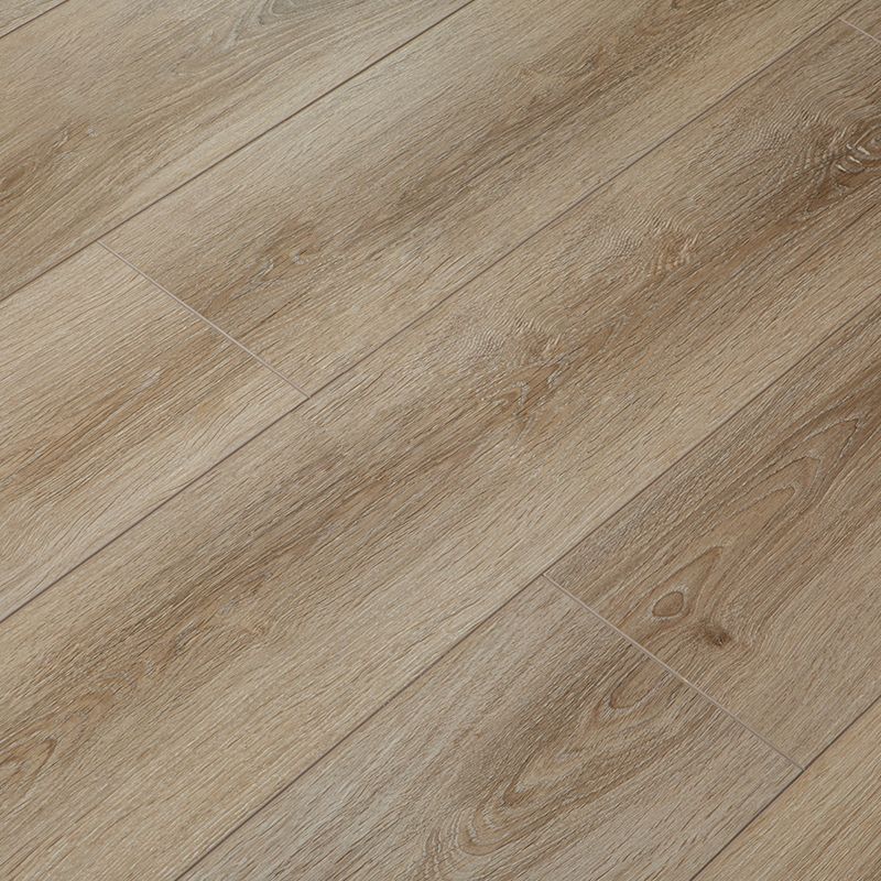 Modern Simple Laminate Floor Solid Wood Laminate Floor with Scratch Resistant Clearhalo 'Flooring 'Home Improvement' 'home_improvement' 'home_improvement_laminate_flooring' 'Laminate Flooring' 'laminate_flooring' Walls and Ceiling' 1200x1200_3c3c5edf-d631-4037-a11c-2c626537faa4
