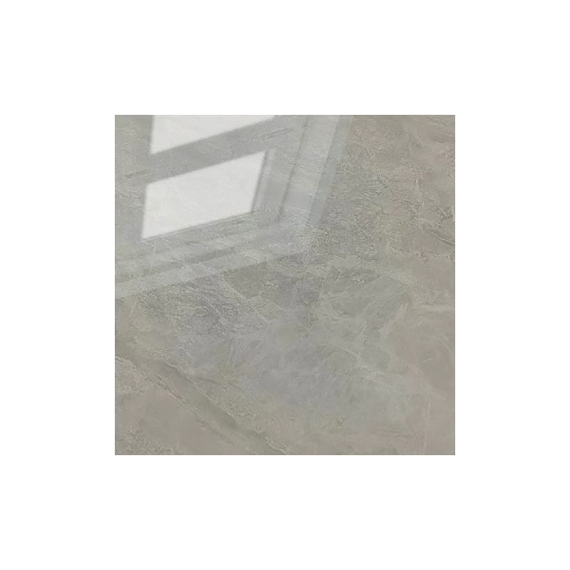 Square Glazed Floor Tile Straight Edge Polished Design Floor Tile Clearhalo 'Floor Tiles & Wall Tiles' 'floor_tiles_wall_tiles' 'Flooring 'Home Improvement' 'home_improvement' 'home_improvement_floor_tiles_wall_tiles' Walls and Ceiling' 1200x1200_3c3e9cbd-b545-4462-8bdd-047bdc6a94fb