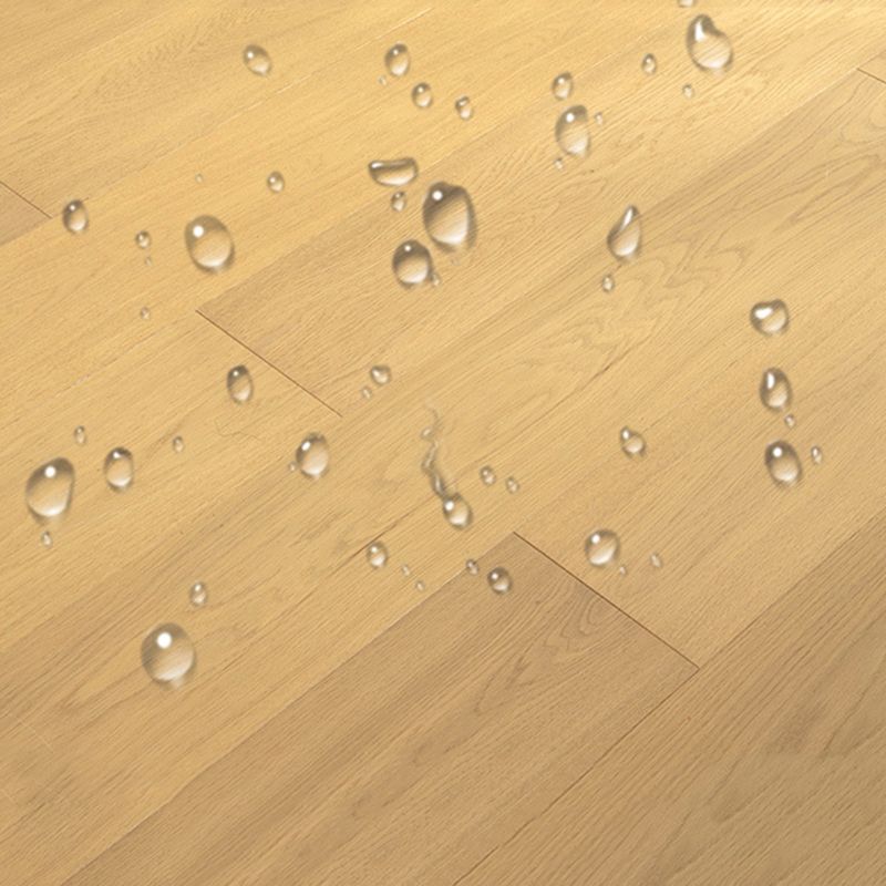 Modern Laminate Flooring Waterproof Click Lock Laminate Floor with Wax Coating Clearhalo 'Flooring 'Home Improvement' 'home_improvement' 'home_improvement_laminate_flooring' 'Laminate Flooring' 'laminate_flooring' Walls and Ceiling' 1200x1200_3c57982e-cdcb-4bf9-966c-c09255876727