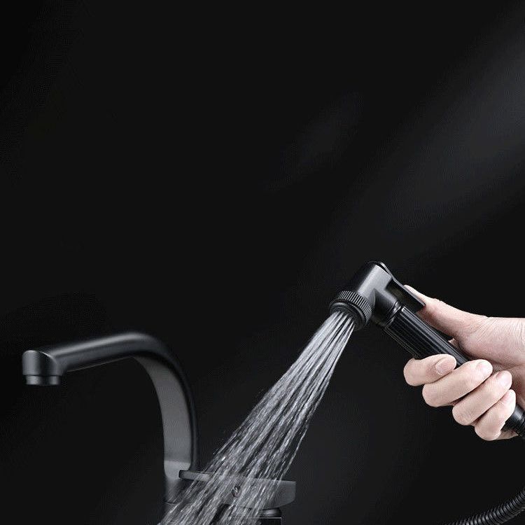 Modern 1-Handle Faucet with Water Dispenser with Pull out Sprayer Faucet Clearhalo 'Home Improvement' 'home_improvement' 'home_improvement_kitchen_faucets' 'Kitchen Faucets' 'Kitchen Remodel & Kitchen Fixtures' 'Kitchen Sinks & Faucet Components' 'kitchen_faucets' 1200x1200_3cfa037d-edc4-41b9-8f10-3f0f47564fb8