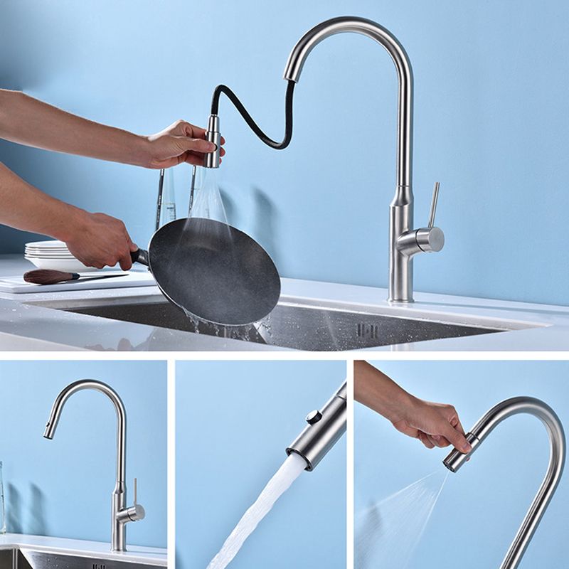 Modern 1-Handle Faucets Stainless Steel with Water Dispenser Pull down Faucets Clearhalo 'Home Improvement' 'home_improvement' 'home_improvement_kitchen_faucets' 'Kitchen Faucets' 'Kitchen Remodel & Kitchen Fixtures' 'Kitchen Sinks & Faucet Components' 'kitchen_faucets' 1200x1200_3d916891-9915-406d-8e6f-ba4998793dcc