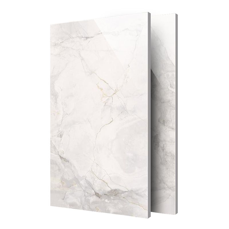 Rectangle White Singular Tile Marble Floor and Wall for Bathroom Clearhalo 'Floor Tiles & Wall Tiles' 'floor_tiles_wall_tiles' 'Flooring 'Home Improvement' 'home_improvement' 'home_improvement_floor_tiles_wall_tiles' Walls and Ceiling' 1200x1200_3e4a65ec-233d-43e2-899c-07ea7d30b379