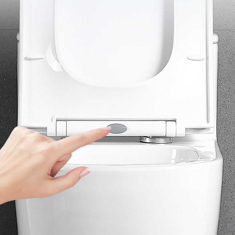 Traditional All-In-One Toilet Bowl Floor Mount Urine Toilet for Washroom Clearhalo 'Bathroom Remodel & Bathroom Fixtures' 'Home Improvement' 'home_improvement' 'home_improvement_toilets' 'Toilets & Bidets' 'Toilets' 1200x1200_3ec6f156-036b-43cc-859a-b1248a22644f