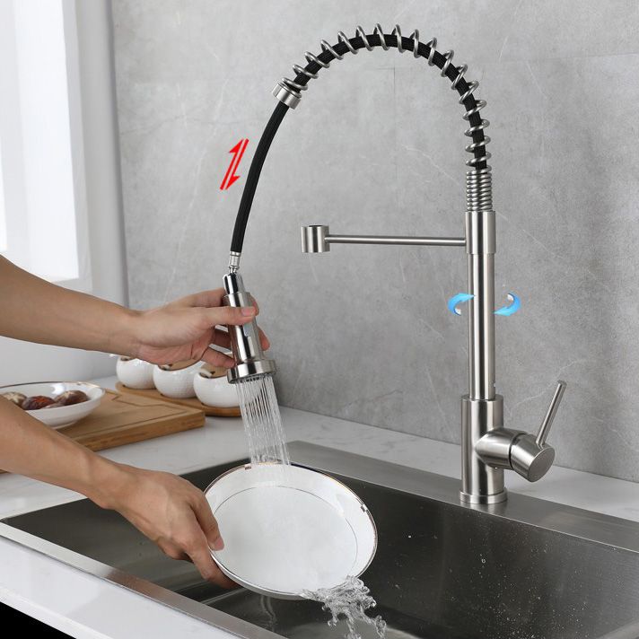Modern Spring Spout Faucets 1-Handle 1-Hole with Water Dispenser Standard Kitchen Faucets Clearhalo 'Home Improvement' 'home_improvement' 'home_improvement_kitchen_faucets' 'Kitchen Faucets' 'Kitchen Remodel & Kitchen Fixtures' 'Kitchen Sinks & Faucet Components' 'kitchen_faucets' 1200x1200_3f7dc769-f93a-4805-9145-a4d1b539169a
