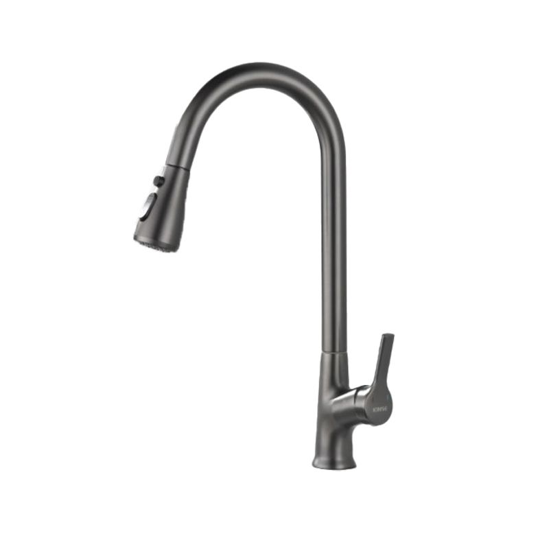 Modern 1-Handle Faucets Stainless Steel with Water Dispenser Pull down Faucets Clearhalo 'Home Improvement' 'home_improvement' 'home_improvement_kitchen_faucets' 'Kitchen Faucets' 'Kitchen Remodel & Kitchen Fixtures' 'Kitchen Sinks & Faucet Components' 'kitchen_faucets' 1200x1200_3f8fc604-eb93-46b6-a5cb-2908b33b5333