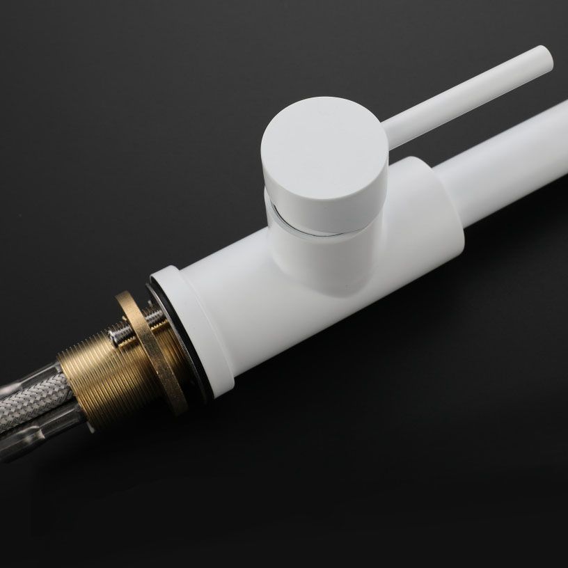 Contemporary Single Handle Kitchen Faucet 1-Hold Faucet with Pull out Sprayer Clearhalo 'Home Improvement' 'home_improvement' 'home_improvement_kitchen_faucets' 'Kitchen Faucets' 'Kitchen Remodel & Kitchen Fixtures' 'Kitchen Sinks & Faucet Components' 'kitchen_faucets' 1200x1200_4035261d-7fbe-4d09-8db6-d7453a1aec56