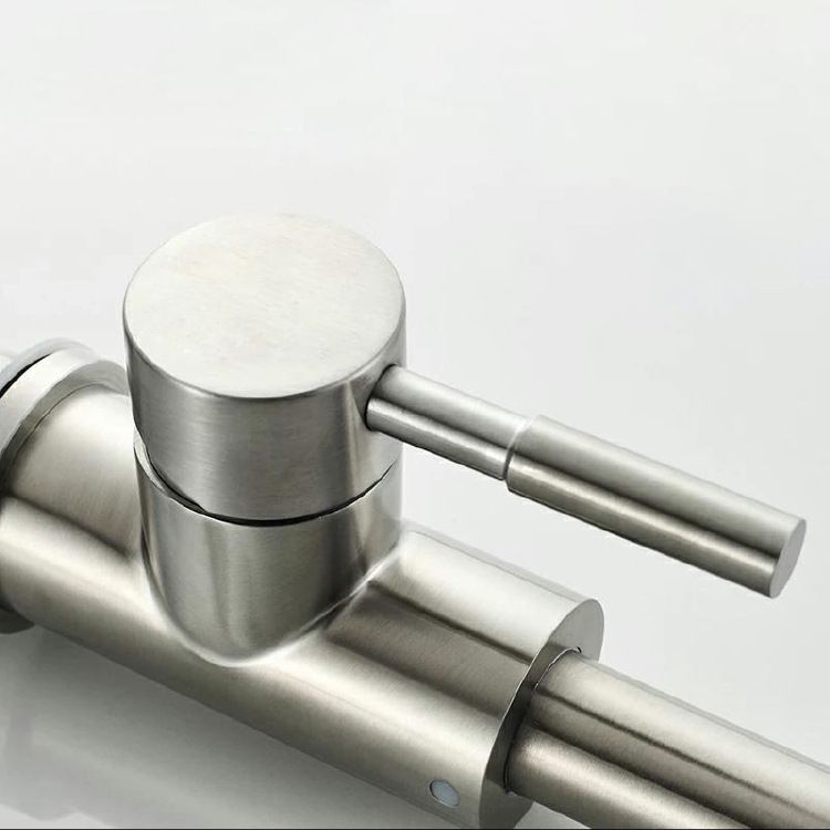 Modern Kitchen Faucet Single Lever Handle Swivel Stainless Steel Pot Filler Clearhalo 'Home Improvement' 'home_improvement' 'home_improvement_kitchen_faucets' 'Kitchen Faucets' 'Kitchen Remodel & Kitchen Fixtures' 'Kitchen Sinks & Faucet Components' 'kitchen_faucets' 1200x1200_411ebb83-5879-4962-8d02-b62ddb4fd76a