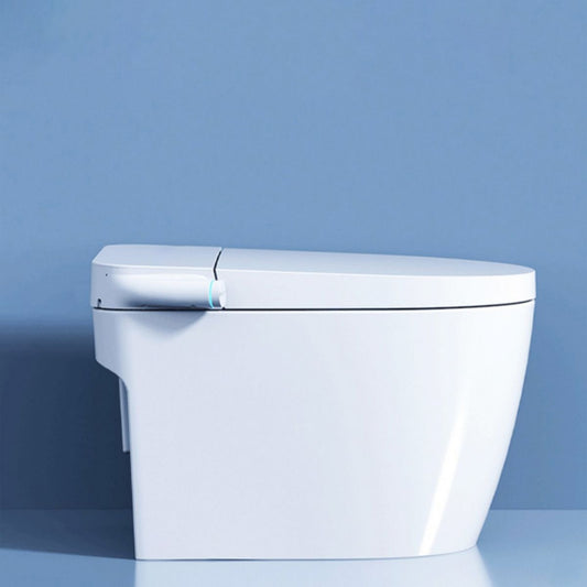 Elongated Floor Mount Bidet All-In-One Smart Bidet with Heated Seat Clearhalo 'Bathroom Remodel & Bathroom Fixtures' 'Bidets' 'Home Improvement' 'home_improvement' 'home_improvement_bidets' 'Toilets & Bidets' 1200x1200_413f3163-6d94-40d8-a99c-493292ef1dcc