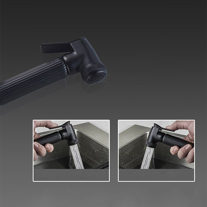 Traditional 1-Handle Faucet with Water Dispenser Standard Kitchen Faucet Clearhalo 'Home Improvement' 'home_improvement' 'home_improvement_kitchen_faucets' 'Kitchen Faucets' 'Kitchen Remodel & Kitchen Fixtures' 'Kitchen Sinks & Faucet Components' 'kitchen_faucets' 1200x1200_4152f367-6615-438a-aa1b-44ce718848d4