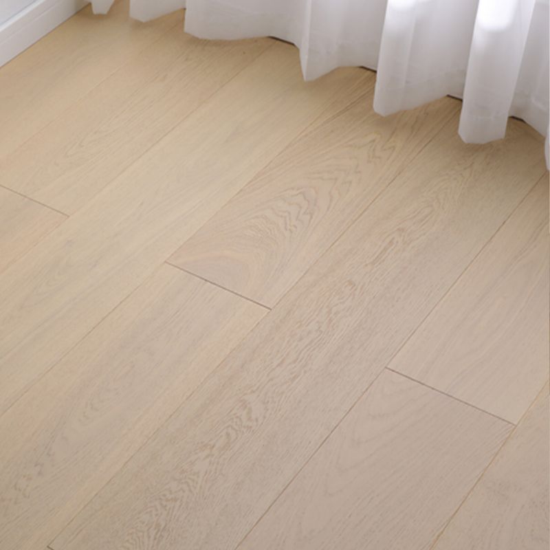 Light Color Wooden Laminate Flooring Modern Style Laminate Flooring Clearhalo 'Flooring 'Home Improvement' 'home_improvement' 'home_improvement_laminate_flooring' 'Laminate Flooring' 'laminate_flooring' Walls and Ceiling' 1200x1200_41828a01-0529-4312-8cc1-33e9dc69811b