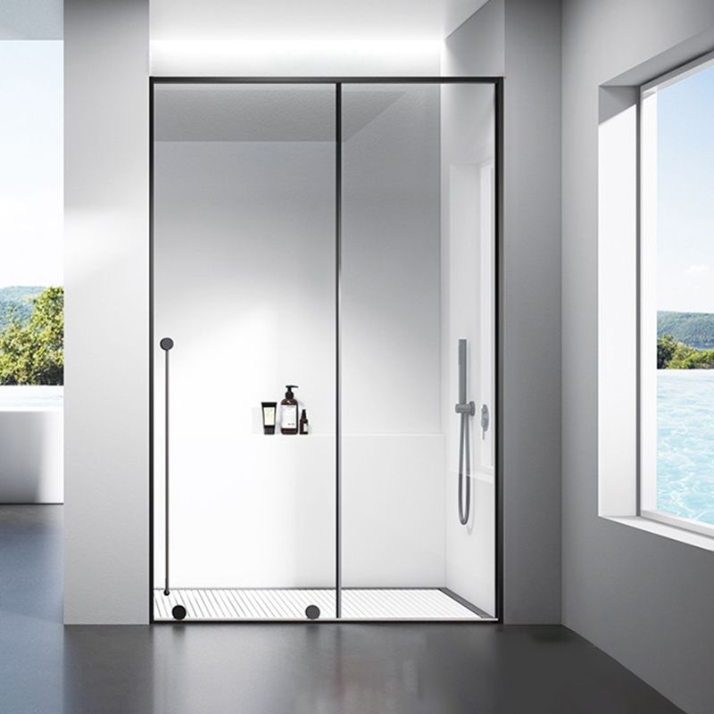 Stainless Steel Shower Doors Clear Metal Single Sliding Shower Bath Door Clearhalo 'Bathroom Remodel & Bathroom Fixtures' 'Home Improvement' 'home_improvement' 'home_improvement_shower_tub_doors' 'Shower and Tub Doors' 'shower_tub_doors' 'Showers & Bathtubs' 1200x1200_4203d818-6ff0-4a2e-b444-e502dffcc05c