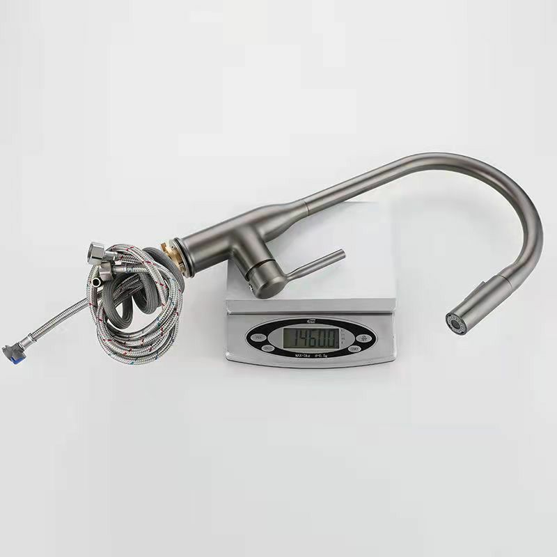 Modern 1-Handle Faucet Pull out Sprayer Standard Kitchen Faucet Clearhalo 'Home Improvement' 'home_improvement' 'home_improvement_kitchen_faucets' 'Kitchen Faucets' 'Kitchen Remodel & Kitchen Fixtures' 'Kitchen Sinks & Faucet Components' 'kitchen_faucets' 1200x1200_42aa019c-957b-4982-8f56-86f176a2ee25