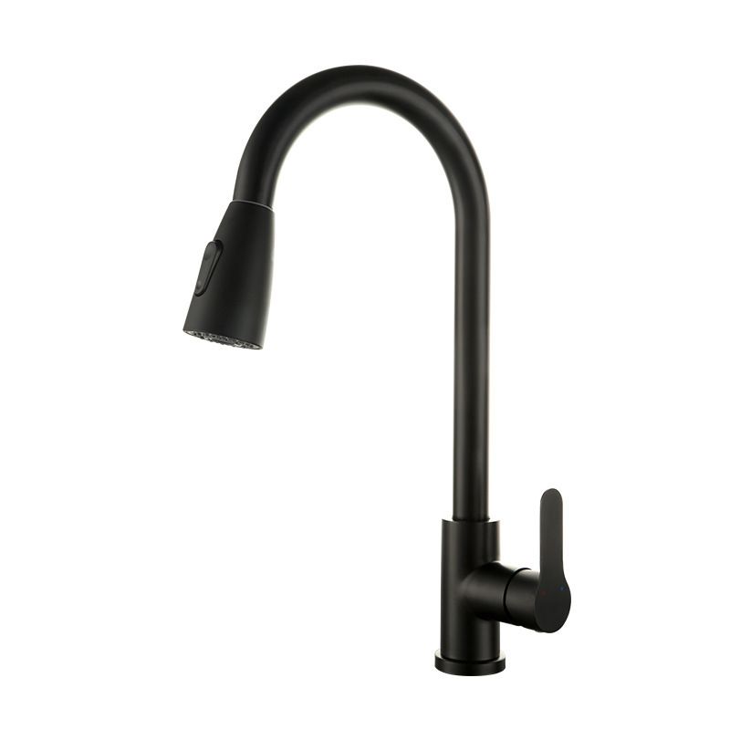 Modern Pot Filler Stainless Steel Pull Out Faucet Bar Prep Kitchen Faucet Clearhalo 'Home Improvement' 'home_improvement' 'home_improvement_kitchen_faucets' 'Kitchen Faucets' 'Kitchen Remodel & Kitchen Fixtures' 'Kitchen Sinks & Faucet Components' 'kitchen_faucets' 1200x1200_42d2be4d-59f4-4431-8f7b-defd05b740c8