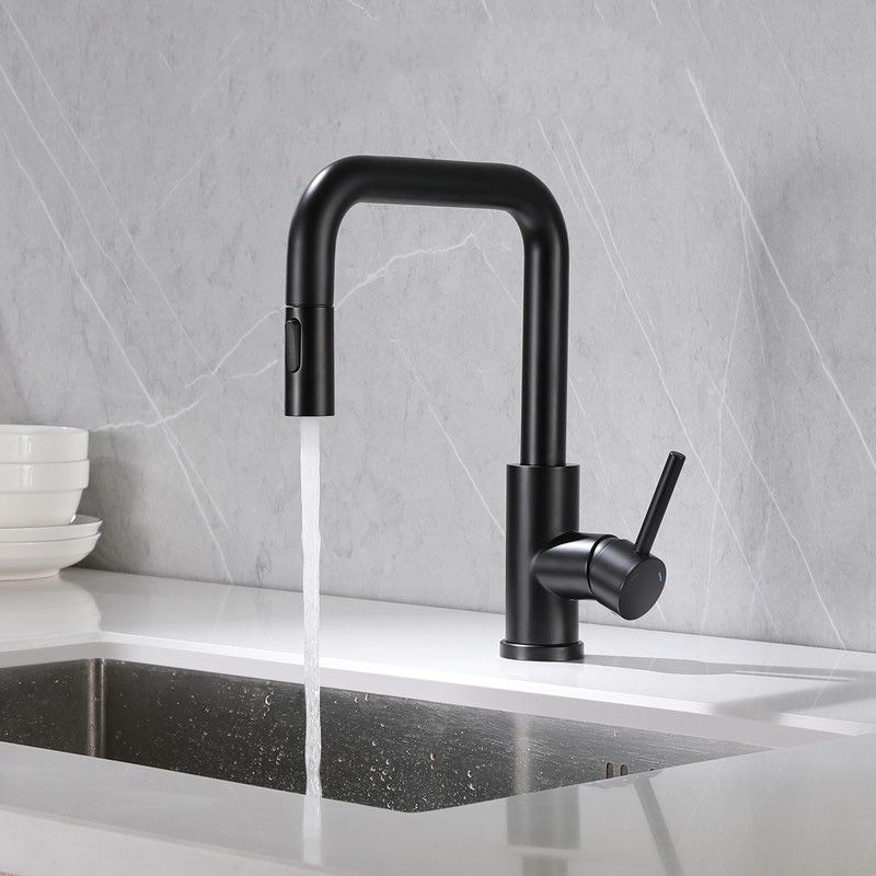 Kitchen Faucet Lever Handle Pull-out Single Hole Brass Faucet Clearhalo 'Home Improvement' 'home_improvement' 'home_improvement_kitchen_faucets' 'Kitchen Faucets' 'Kitchen Remodel & Kitchen Fixtures' 'Kitchen Sinks & Faucet Components' 'kitchen_faucets' 1200x1200_43dc9f2f-8fa6-4668-9586-6dd1a0924b8c