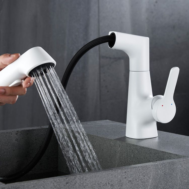 Brass Bathroom Sink Faucet with 1-Handle Swivel Spout Sink Faucet Clearhalo 'Bathroom Remodel & Bathroom Fixtures' 'Bathroom Sink Faucets' 'Bathroom Sinks & Faucet Components' 'bathroom_sink_faucets' 'Home Improvement' 'home_improvement' 'home_improvement_bathroom_sink_faucets' 1200x1200_445225e7-27ba-4246-8a02-036729ac1640