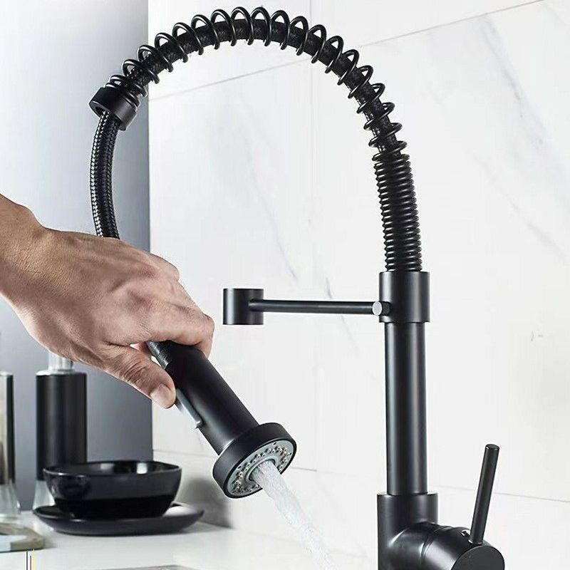 Modern 1-Handle Faucet Spring Spout with Water Dispenser Standard Kitchen Faucet Clearhalo 'Home Improvement' 'home_improvement' 'home_improvement_kitchen_faucets' 'Kitchen Faucets' 'Kitchen Remodel & Kitchen Fixtures' 'Kitchen Sinks & Faucet Components' 'kitchen_faucets' 1200x1200_4476f89f-dd6a-4327-929a-be60a8da4d6e