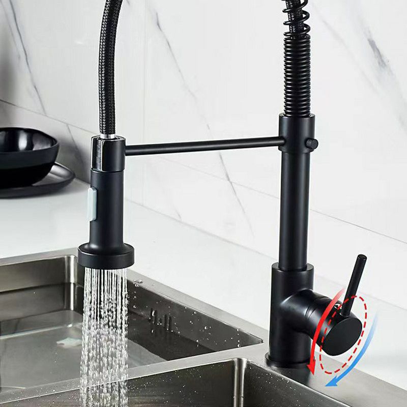 Modern 1-Handle Faucet Spring Spout with Water Dispenser Standard Kitchen Faucet Clearhalo 'Home Improvement' 'home_improvement' 'home_improvement_kitchen_faucets' 'Kitchen Faucets' 'Kitchen Remodel & Kitchen Fixtures' 'Kitchen Sinks & Faucet Components' 'kitchen_faucets' 1200x1200_4594d3dd-4b21-4fec-bae4-415c07245691